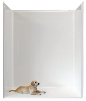 WR-6030 ADA compliant Roll-in shower